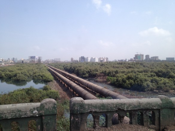 the sewer that features in Slumdog Millionaire, running out of Dharavi