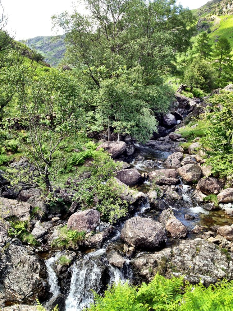 A babbling brook - I come from haunt of coot and tern