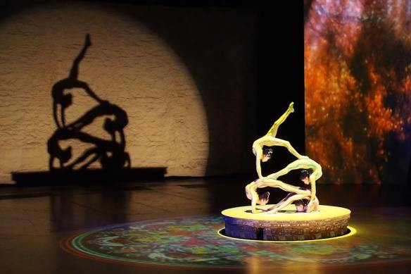 Amazing grace and agility on display