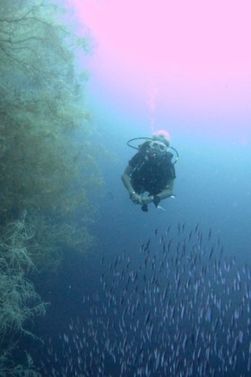ME on the wall at Kalamanggua Islet
