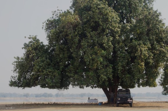 our wilderness area coffee spot
