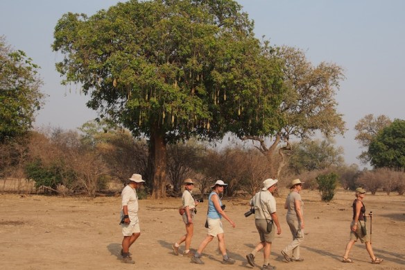 We're going on a lion hunt