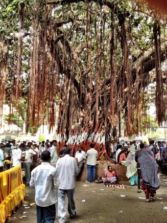 Bustling crowds at the Gateway