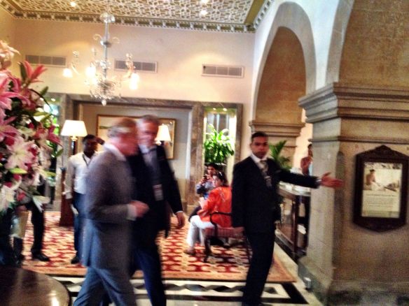 This is as close as we get - but its pretty close although he dashes past us on the wrong side of the flower arrangement!