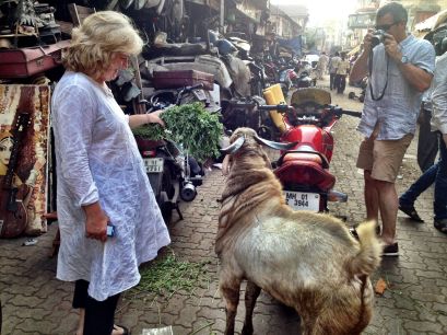 Cindy and her new billy goat freind