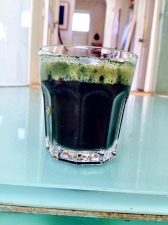 The undrinkable spirulina infested green juice! 