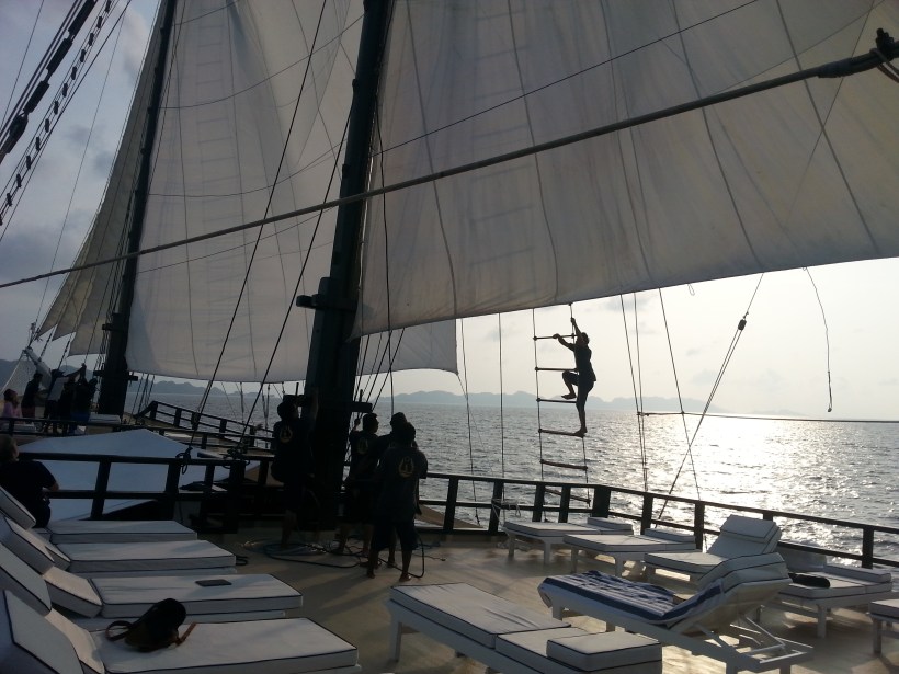 Getting the sails up