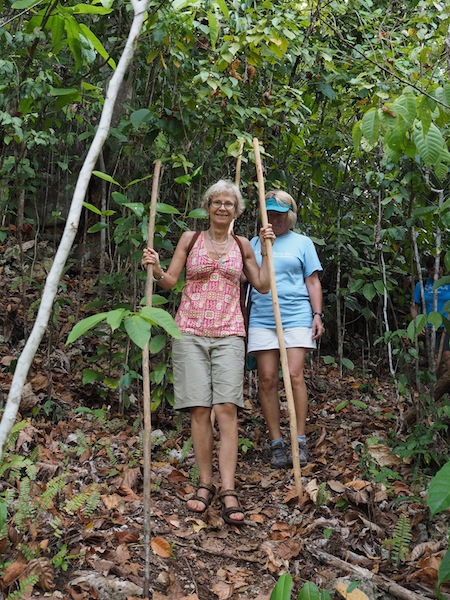 Hobbling down after our little birds of paradise expedition