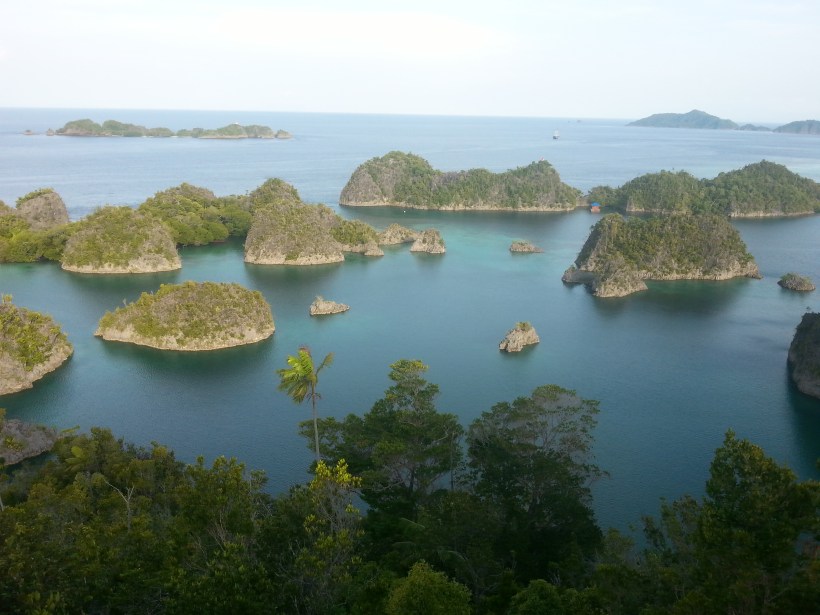 Typical Raja Ampat scenery