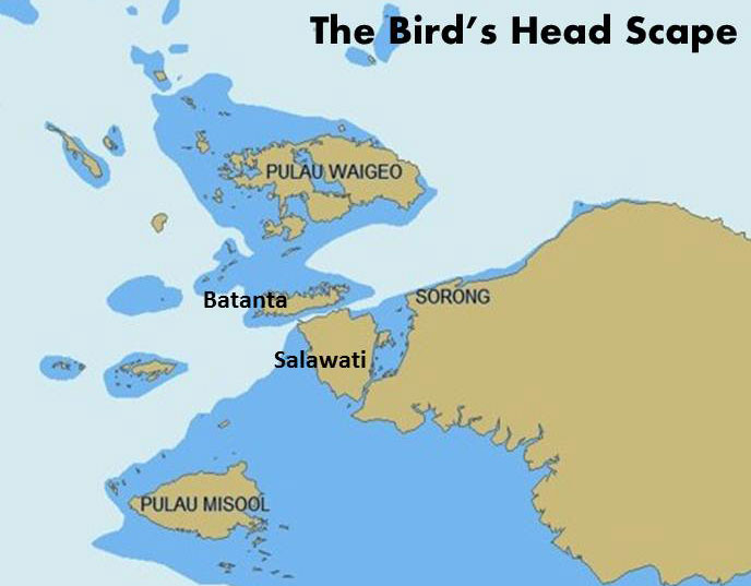 WE travelled right up to the north and then to the south, Misool