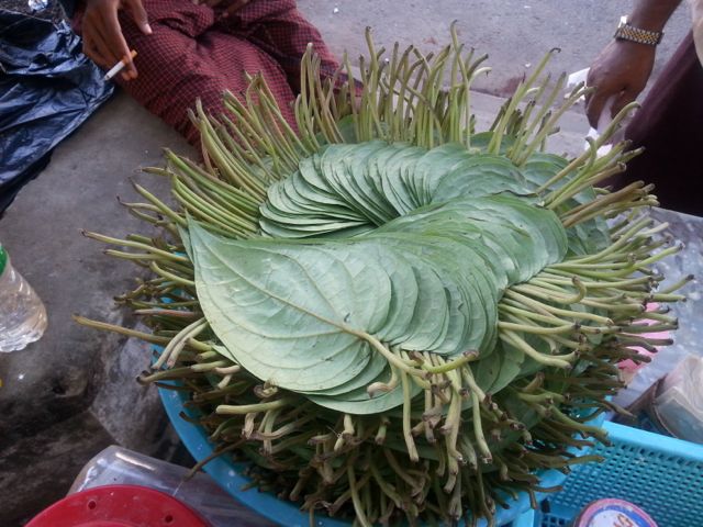 Leaves for wrapping betel nut always beautifully arranged