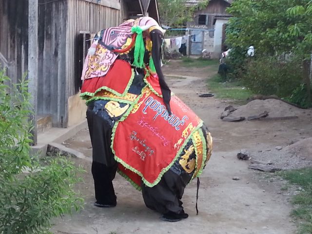 The dancing elephant