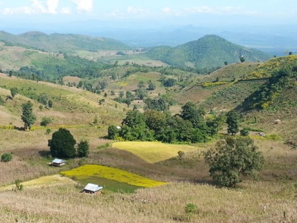 Shan countryside, planted with maize and rice