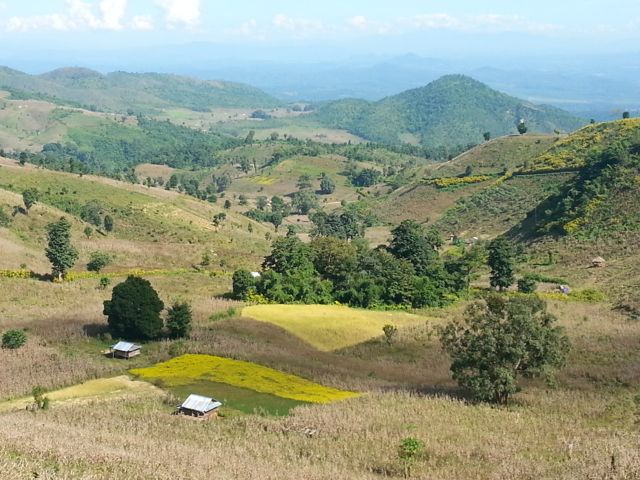 Shan countryside, planted with maize and rice