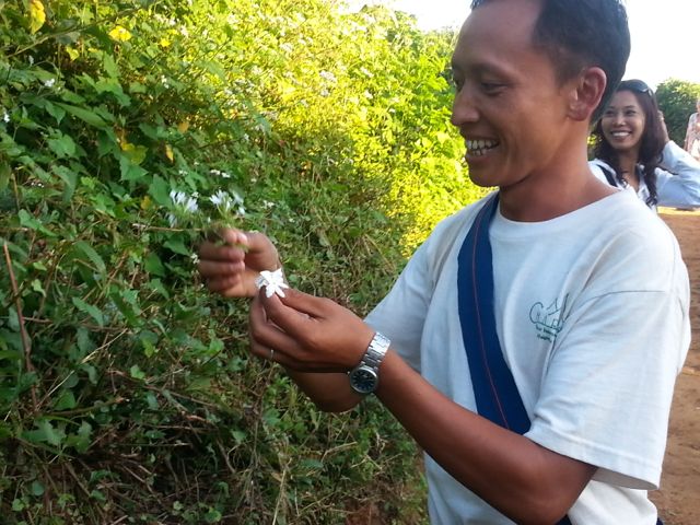Amaung picking jasmine for us