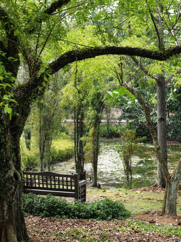 Botanic gardens today