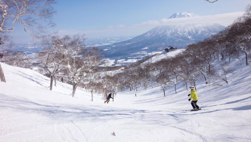 Going down a gently gully...look at those birches!