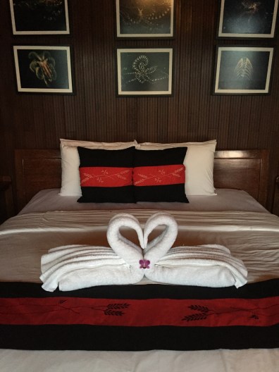 Our room, with swans in welcoming pose