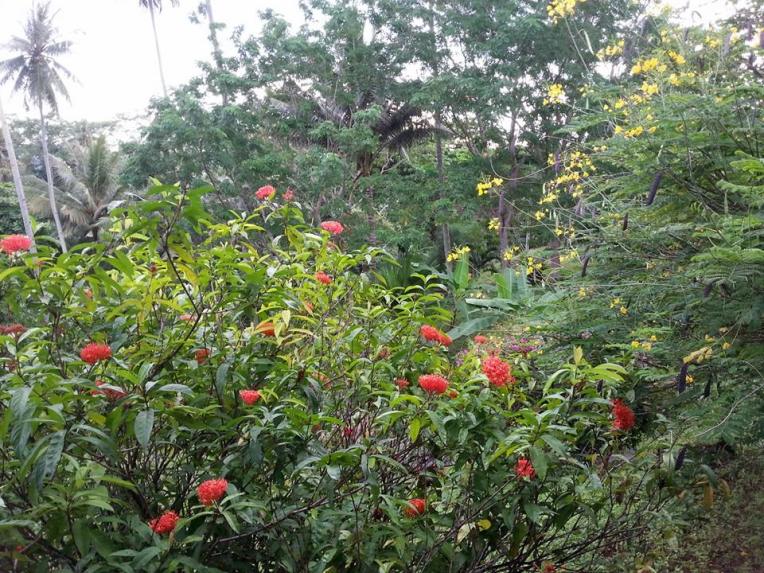 View form my balcony