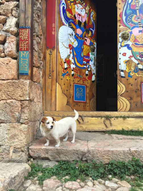 Another dog in Shuhe