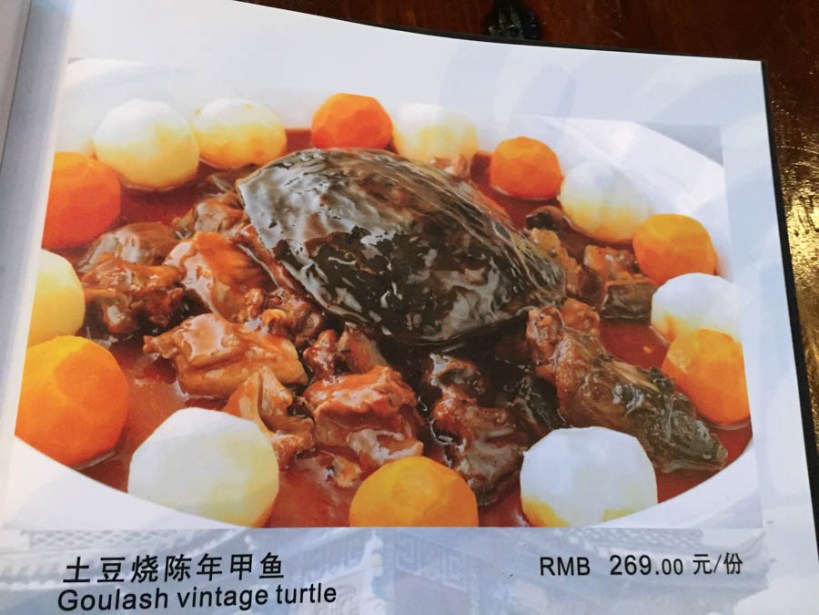 Turtle on the menu