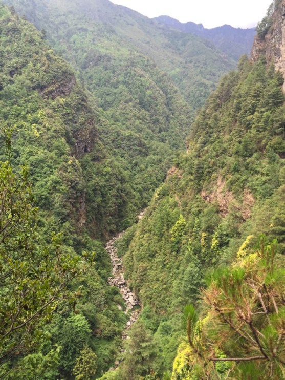 Spectacular views of the gorge