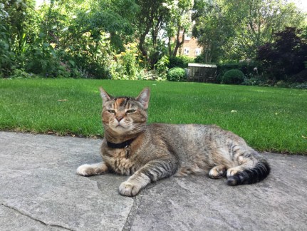 Pickle's last look at PArkhill Road