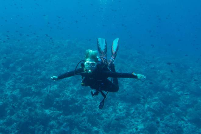 11052469_10153332320078113_3503869781076647766_o