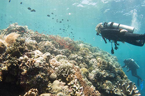 This is the best way to get inspiration