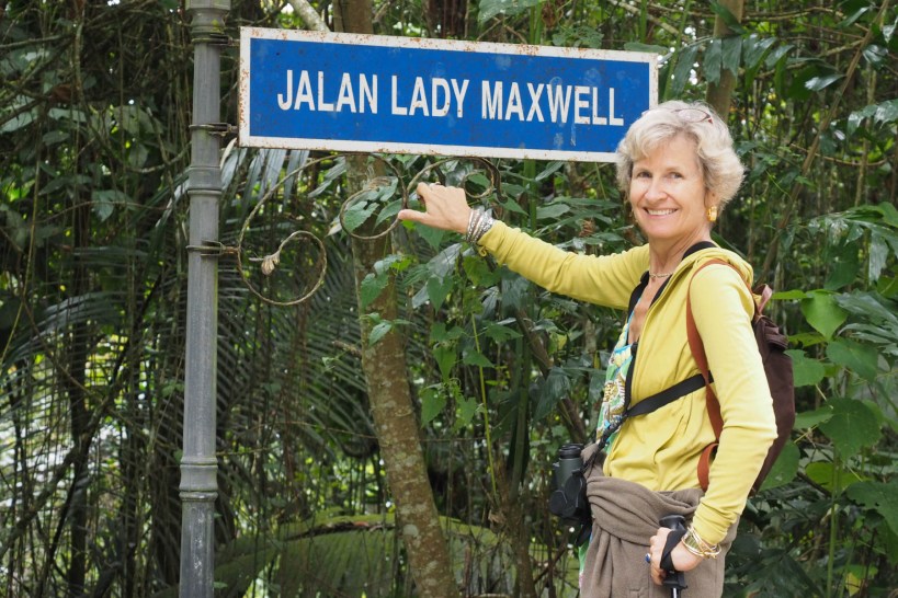 Lady of all we survey