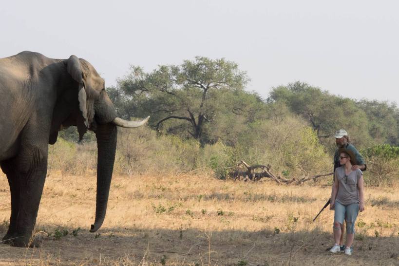 Olivia being introduced to Big Vic, much less scared than the three boys. Johnny said it was the most terrifying experience of his life!