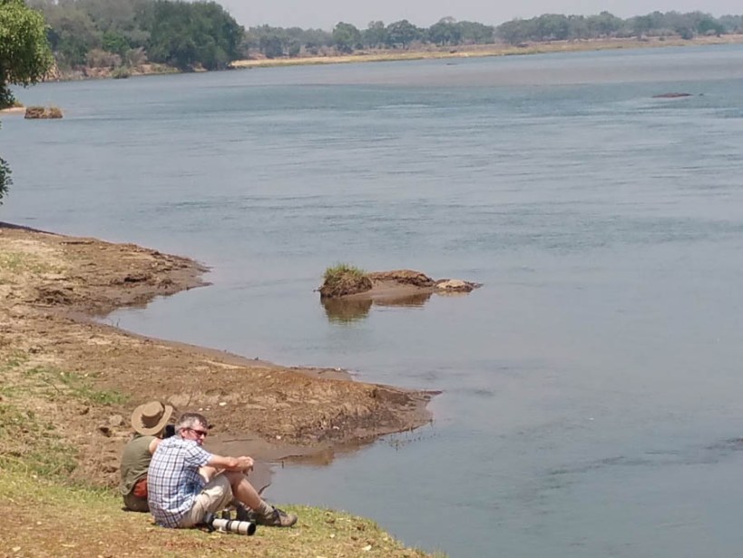 Trying to catch teh Malachite kingfisher