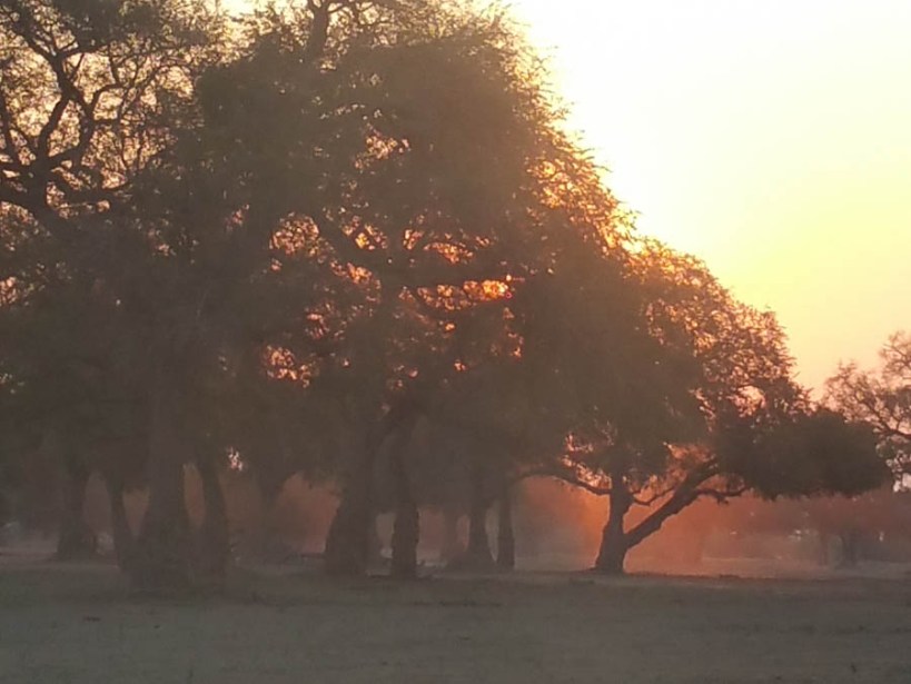 Sunset in the Wilderness