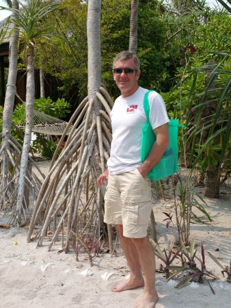 The pathways around the resort are lined with amazing aerial-rooted trees