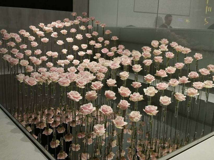 17425966_10155238623817652_2390471412902665449_n