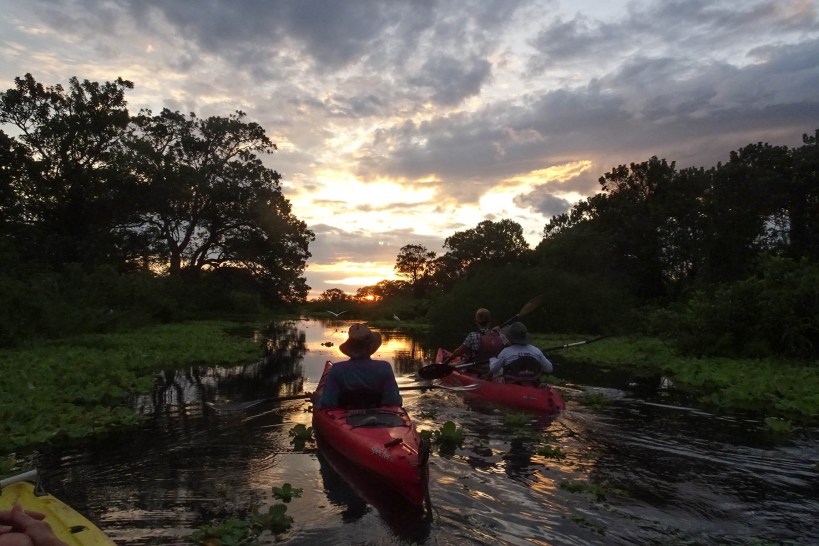 Sunset on the Ometepe wetlands
