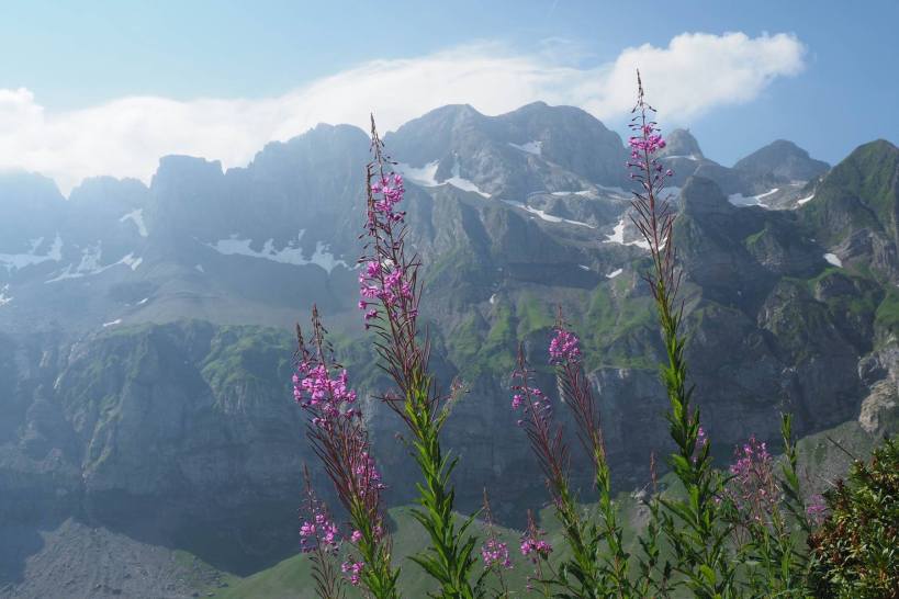 38392204_10156125606683113_8013277740079775744_o