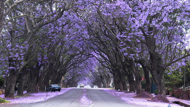 tumblr_static_tumblr_static_a1q9xqfb27ks4s0sckc0oowwg_640