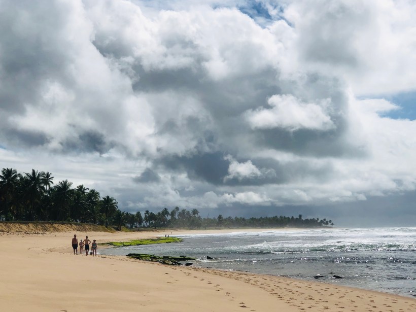 1E8E3531-3D02-4A02-A05D-969423744E9C