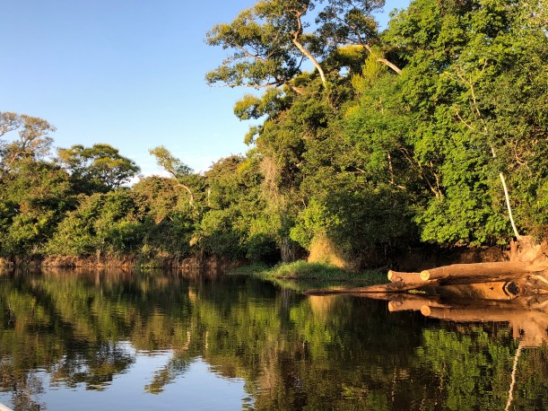 3DCFF338-37AD-49DA-B23E-C730FC36209F