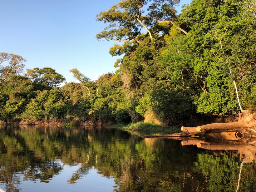 3DCFF338-37AD-49DA-B23E-C730FC36209F