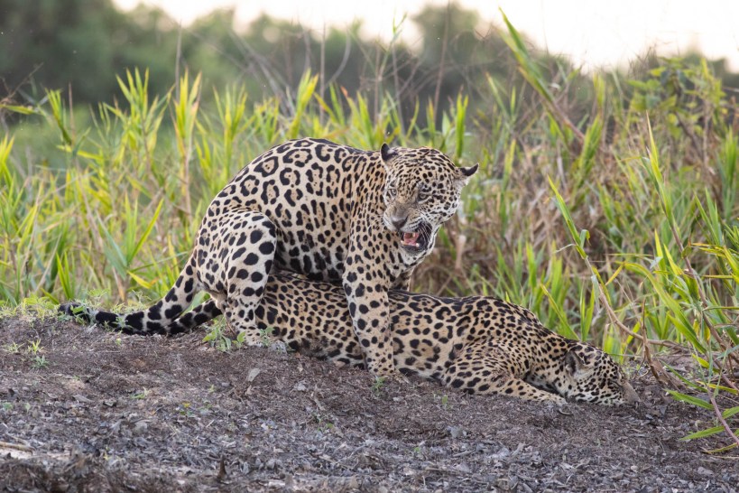 AB6AA906-853A-46C5-B8B0-74DEAF41EBAD