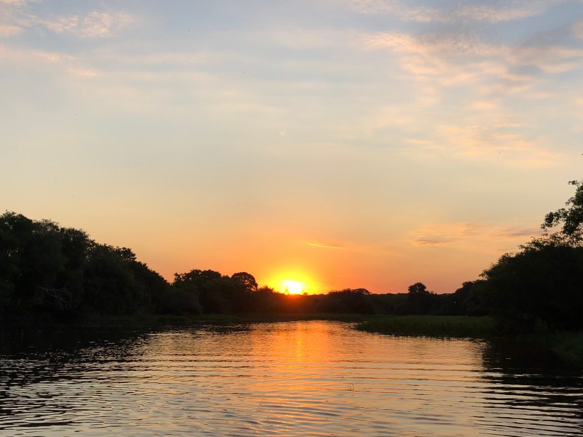 B29B2C9D-A99D-43B1-93A9-ABA29D1B678C