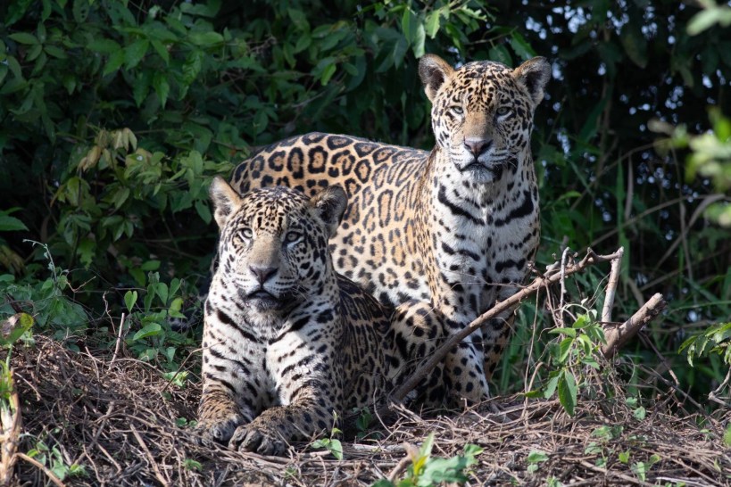 CBA59F46-B44D-4DA2-A06C-C71435DF9F49