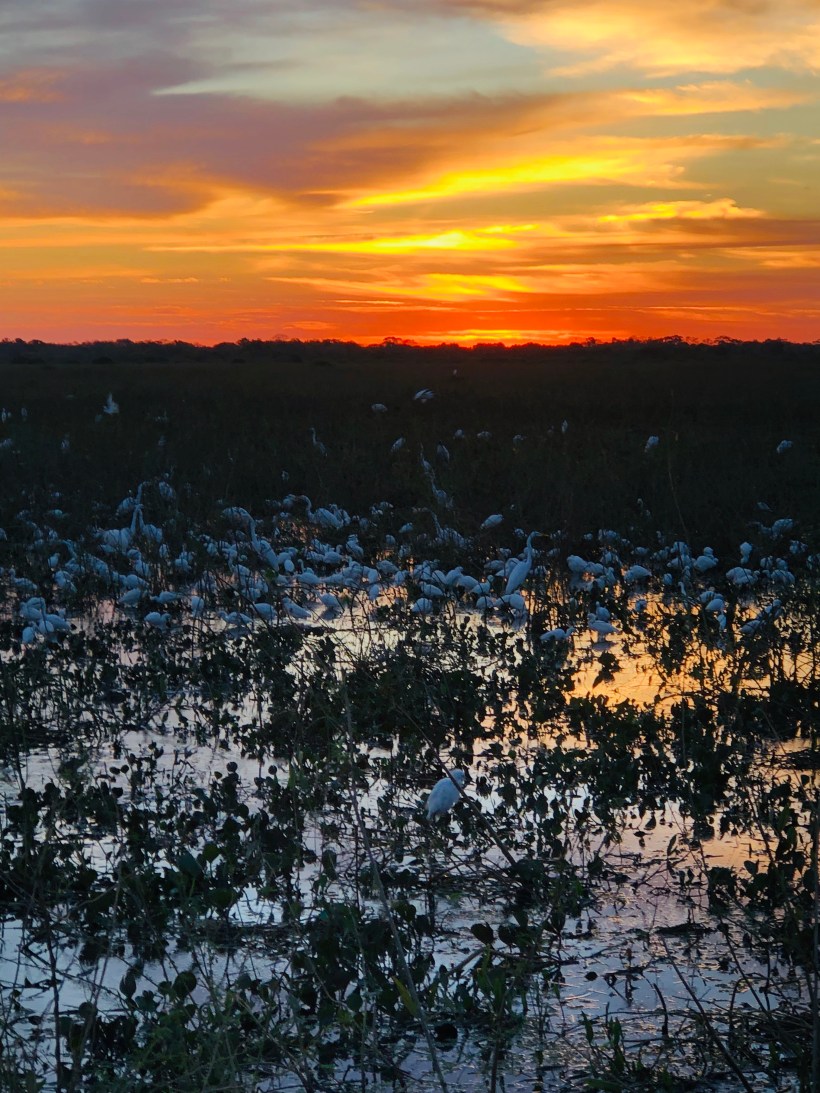 FB4C2127-B8A9-4C2D-9F31-8A8504DA6EB8