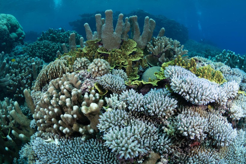 0FC8F4E8-0512-45B1-A912-B50AFEE2DBD2