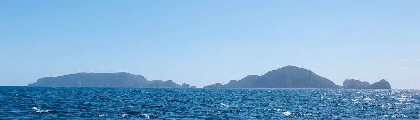 7AC7A8E2-F19D-4D78-BD8E-37CC1FA9B5AA