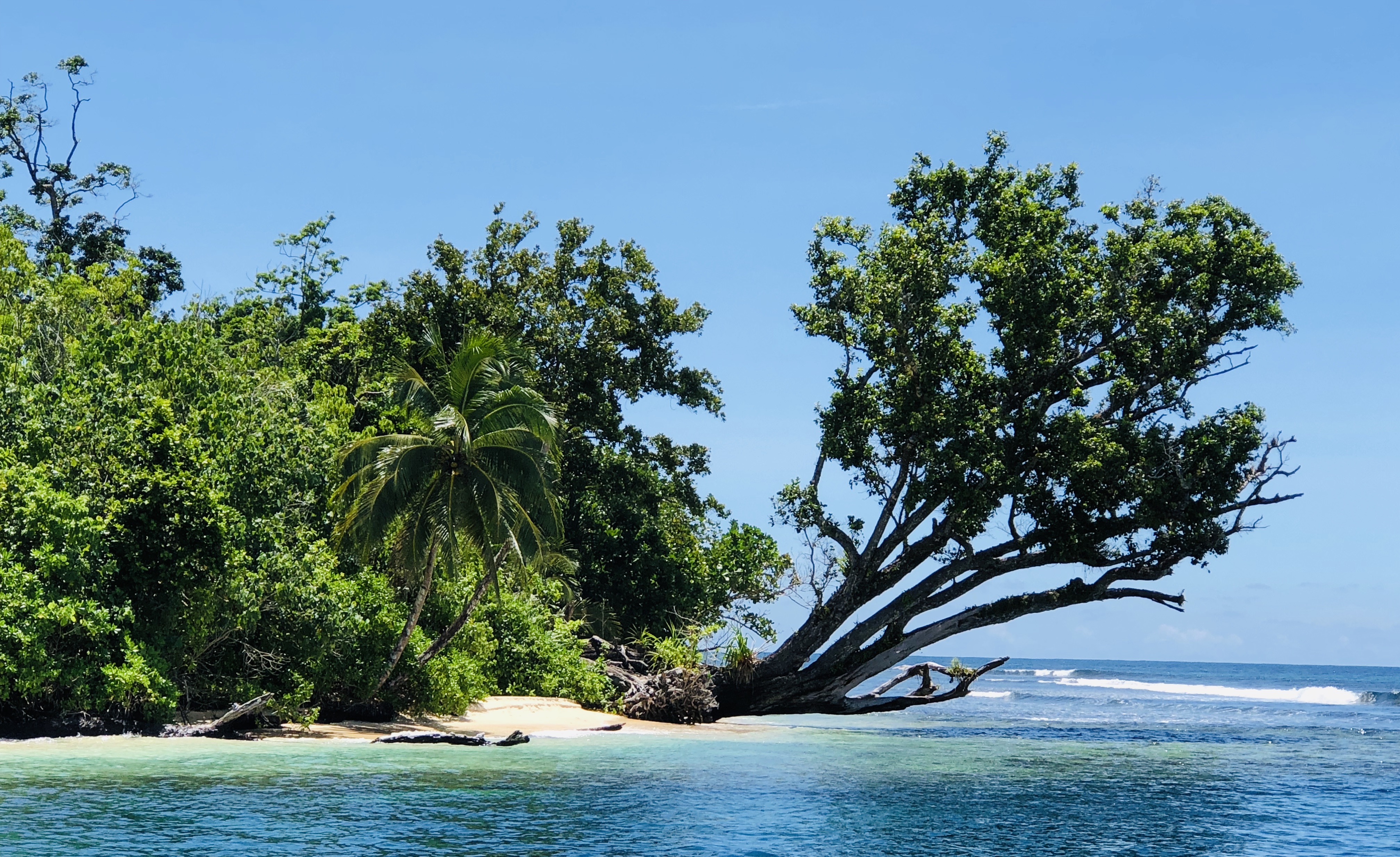 F6FC033C-AFE4-4B83-9C48-A0CDC8A55D73