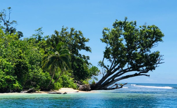 F6FC033C-AFE4-4B83-9C48-A0CDC8A55D73