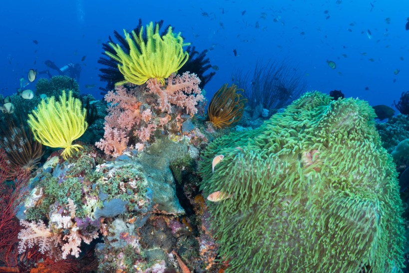 F7E98F22-C2F0-40F6-85E5-7EAFA5601AED